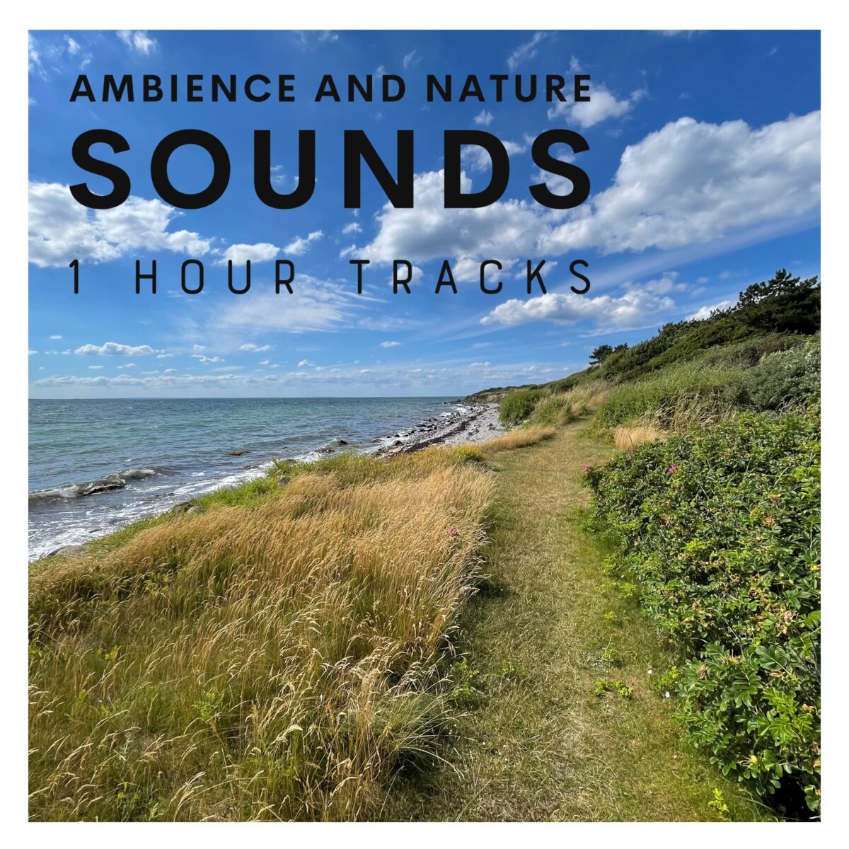 Ambience and Nature Sounds – 1 hour tracks