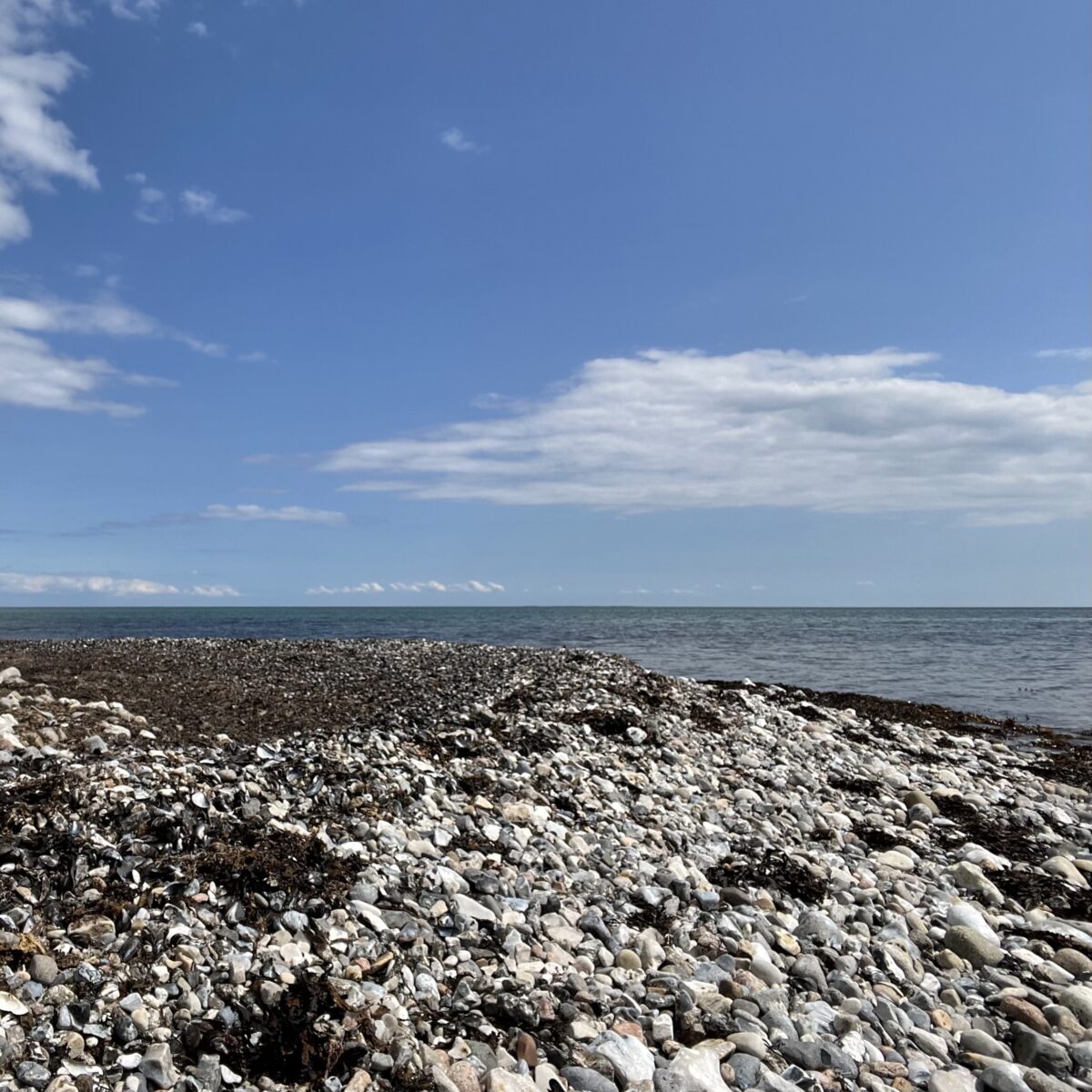 Ambience: Calm waves lapping over beach rocks on a Danish island (1 hour)