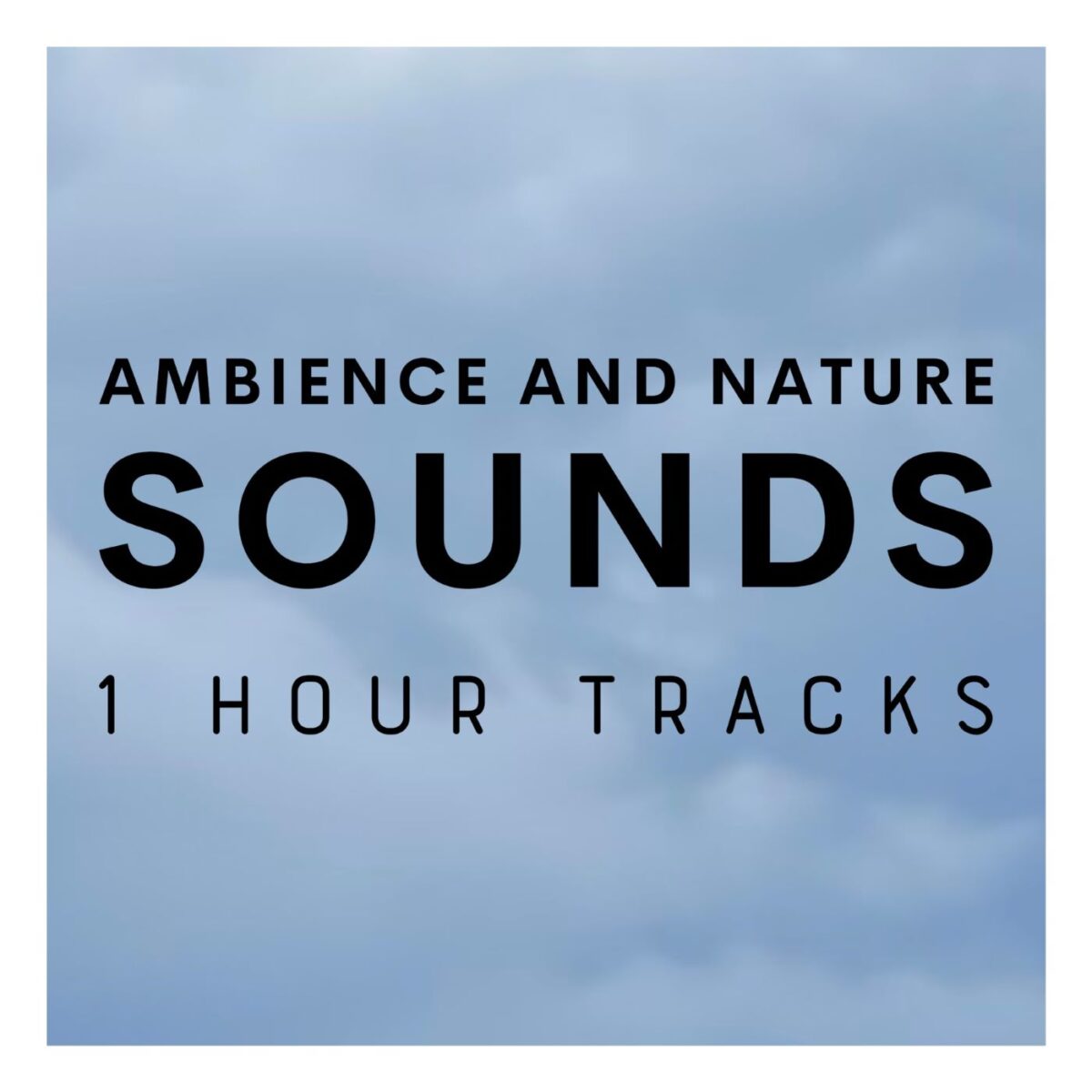 Ambience: Night rain in July with rumbling thunder and songs from a blackbird (1 hour)