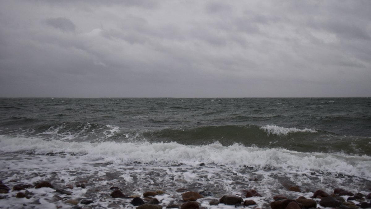 Windy and refreshing: Danish seaside during winter (1 hour)