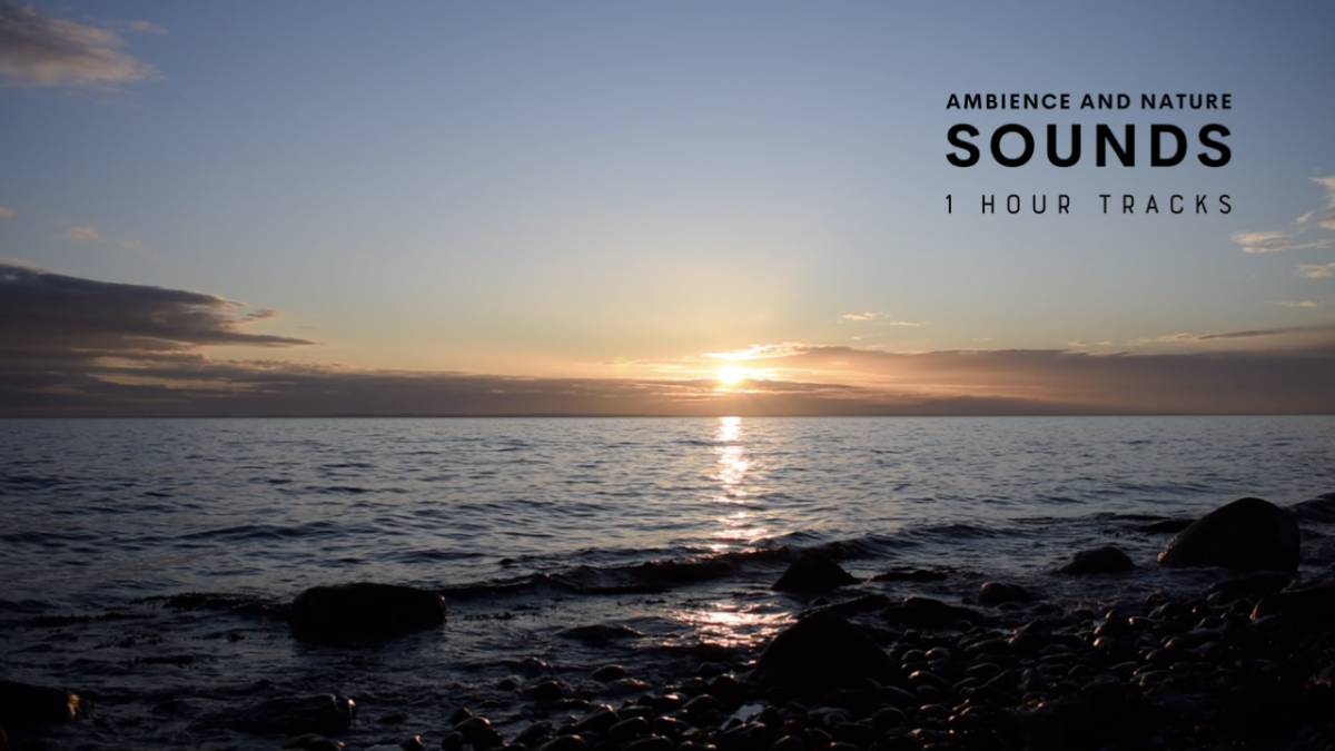 Ambience: Evening waves during sunset on Danish island (1 hour)